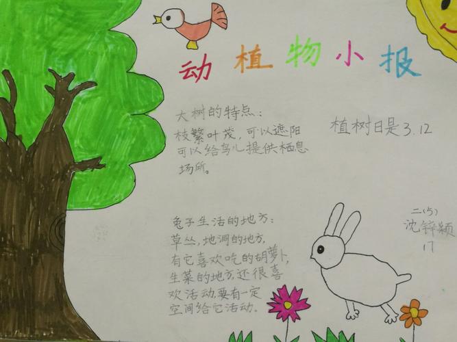 逸夫小学二5班有趣的动植物手抄报