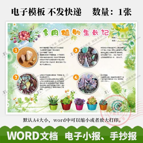 多肉植物生长记植物成长观察记录手抄报电子小报word模板wk078