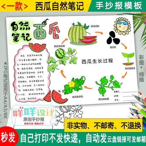 西瓜水果观察日记涂色描线空白a4a38k小学生自然笔记手抄报模板