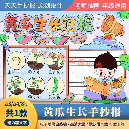 小学生黄瓜生长过程手抄报模板电子版a3a4黄瓜生长记小报半成品8k