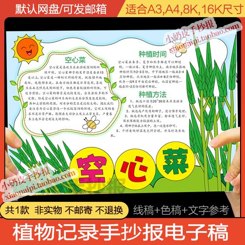 植物生长记录空心菜手抄报电子板模板小学生黑白线稿涂色填色轮廓