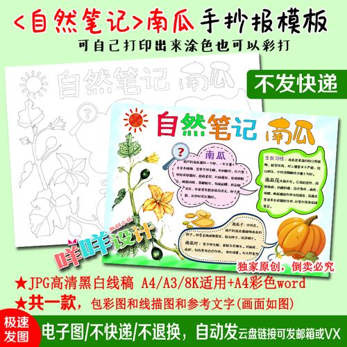 自然笔记南瓜观察日记黑白线描涂色空白小学生a4a38k手抄报模板