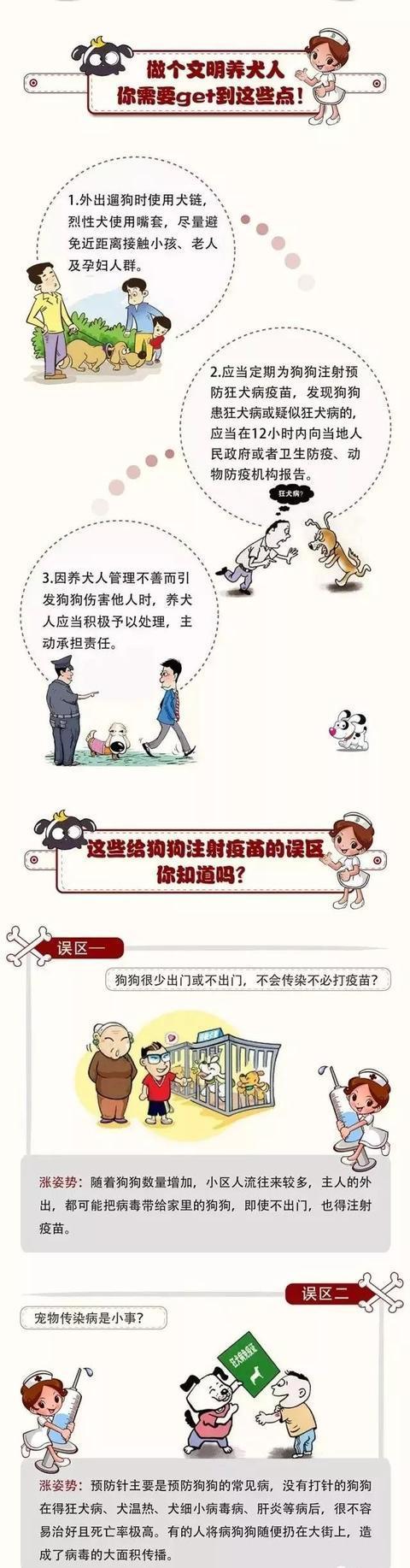 文明养犬知与行手抄报简笔画