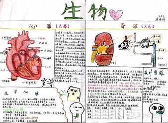 水在生物体的作用的手抄报 生物手抄报