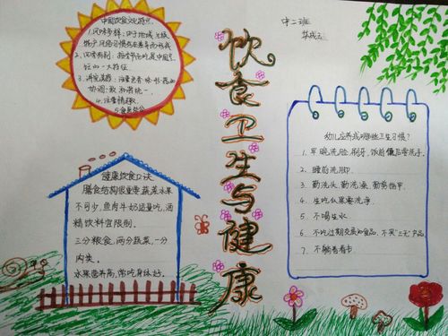 中光幼儿园中二班手抄报饮食与营养 健康与卫生