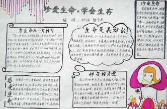 热爱生命手抄报 手抄报版面设计图大全小学生的爱生命的手抄报热爱