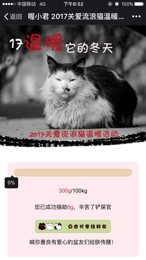 关爱流浪猫的手抄报 关爱手抄报