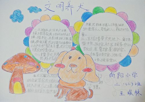 红旗区向阳小学二三中队开展文明养犬 从我做起手抄报展示活动