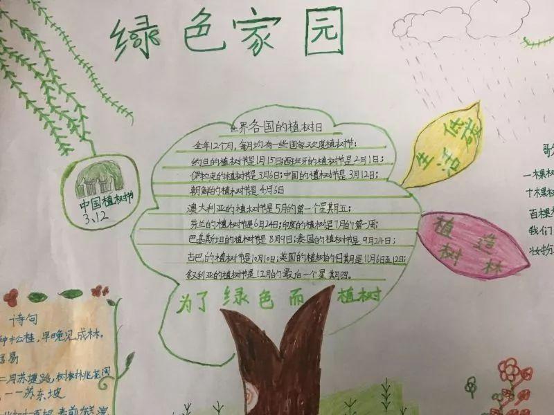 含内容的小学生植树节手抄报简单又漂亮老师布置的作业不用愁