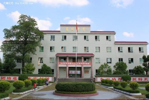 大埔县高陂镇中心小学手抄报小学手抄报