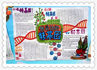 初一生物手抄报图片转基因知识生物手抄报-629kb