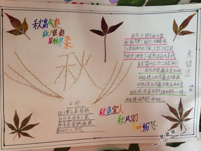 小学生秋手抄报图片资料