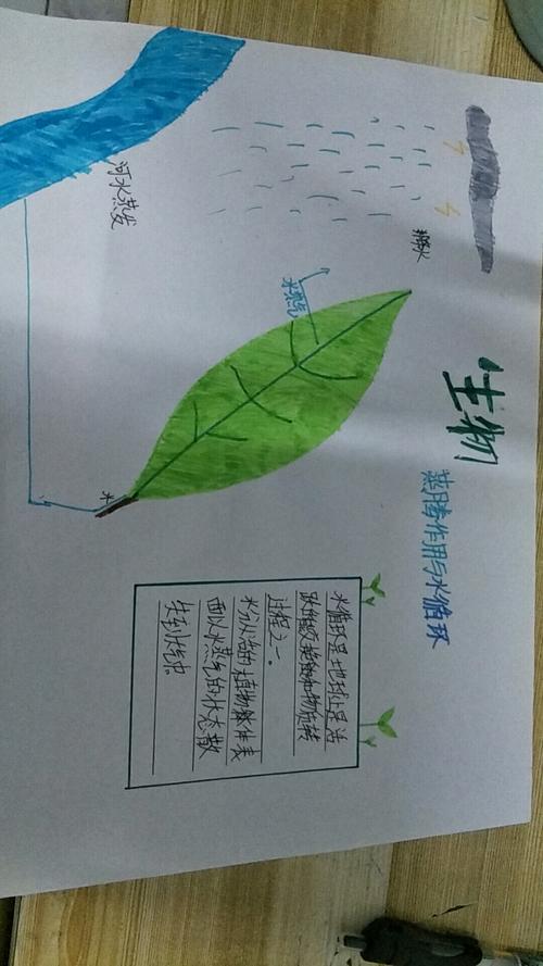 科尔沁实验初中七年级十四班生物第四期手抄报主题《蒸腾作用与水