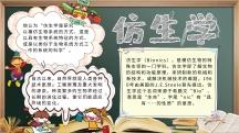 观于仿生学的手抄报 数学的手抄报