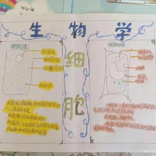 七年八班生物手抄报第一期显微镜与细胞