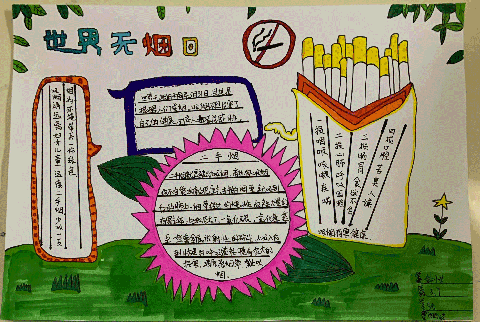 531世界无烟日手抄报531世界无烟日手抄报图片