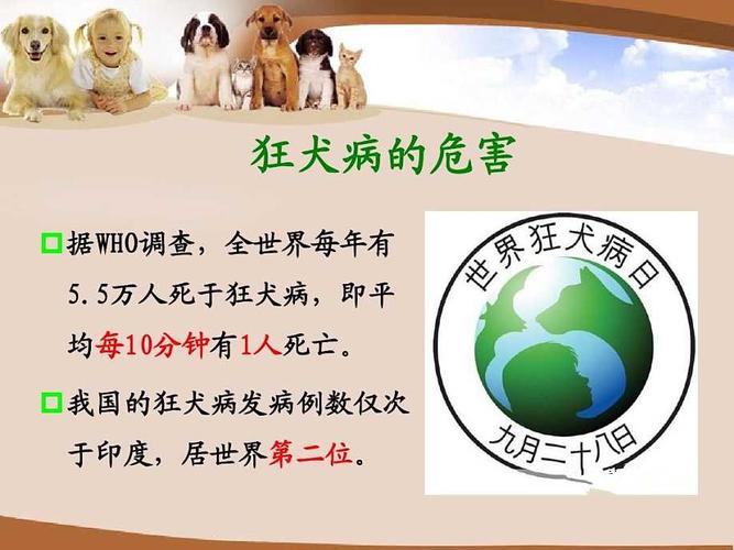 预防狂犬病手抄报