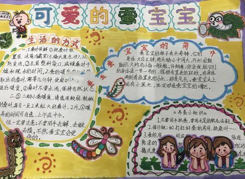 小学生手抄报