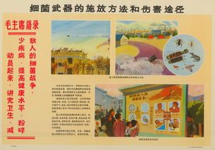 首页 三防手抄报图片大全-在线图片欣赏  生产宣传一通三防-安全展板