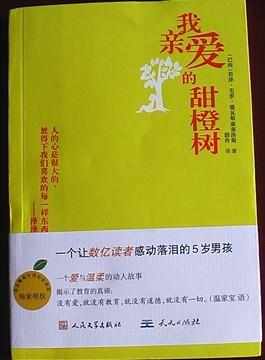 走进《我亲爱的甜橙树》我亲爱的甜橙树手抄报我亲爱的甜橙树手抄报