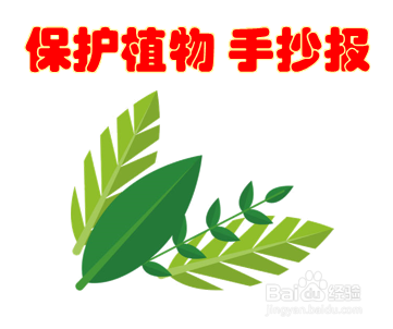 保护植物手抄报内容