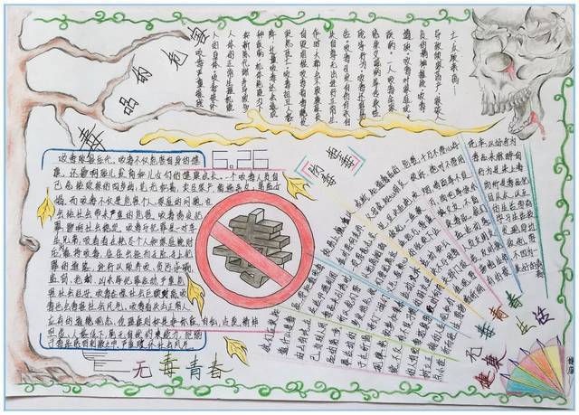 揭阳空港经济区无毒青春健康生活青少年禁毒手抄报大赛获奖作品公布