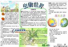 关于必修三生物手抄报 生物手抄报