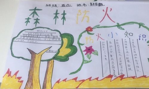 树人小学四9班护林防火手抄报集锦