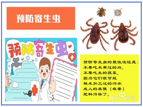 虫的手抄报怎么写预防蛔虫手抄报评比活动上饶市第二十小学预防寄生