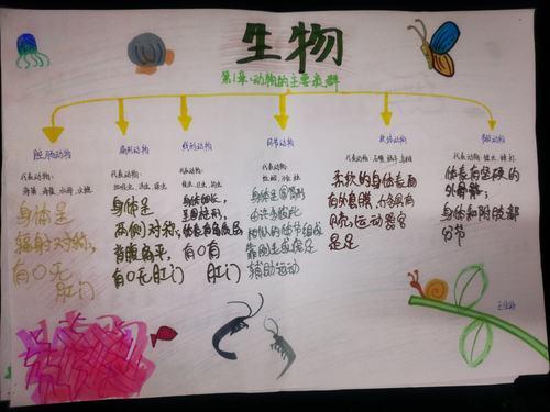 八年级上册生物思维导图手抄报四年级上册手抄报