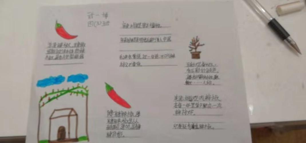 鸡泽县实验小学椒乡红中国红辣椒研学成果分享---优秀手抄报