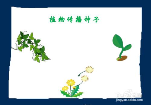 植物传播种子手抄报图片