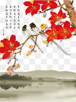 手绘木棉花的手抄报 花的手抄报