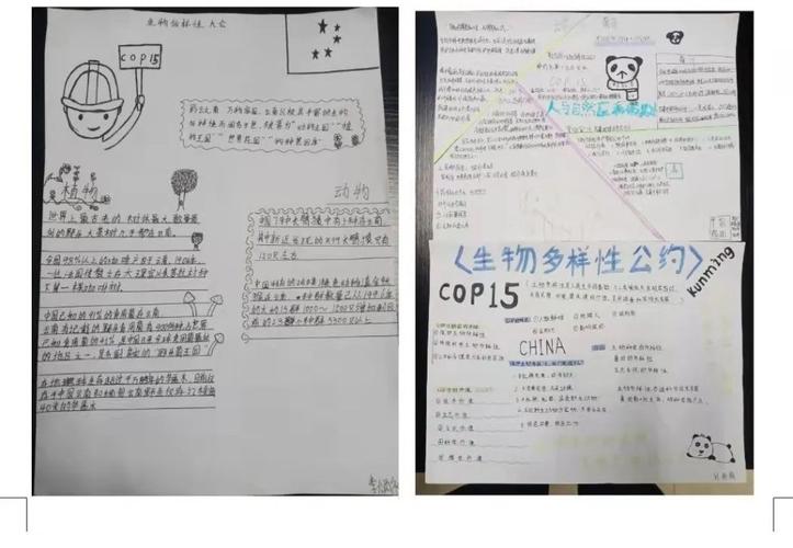 学校组织这次手抄报活动不仅体现了生态文明共建地球生命共同体的