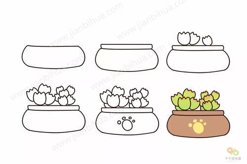 关于多肉植物的手抄报简笔画