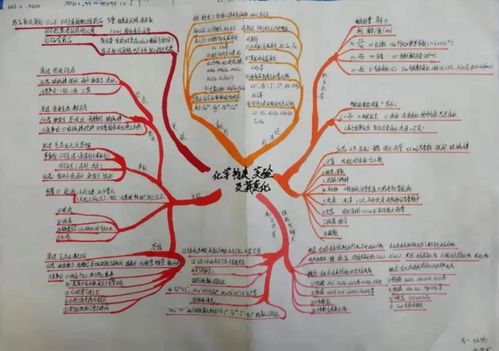 我校开展2022届第一期化学思维导图手抄报展评活动
