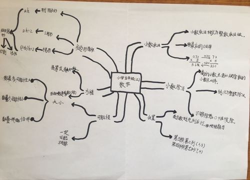 精于思简于图五年级9班寒假数学思维导图手抄报展