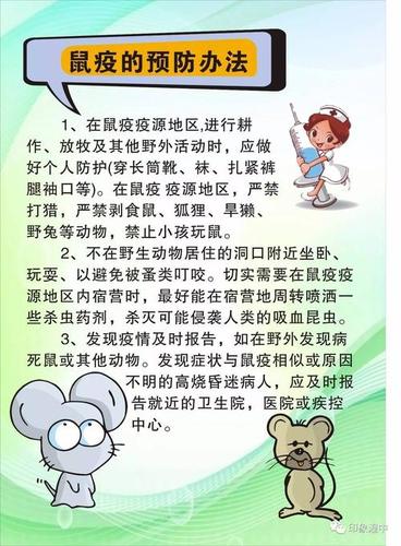 预防鼠疫防控的手抄报疾病预防手抄报