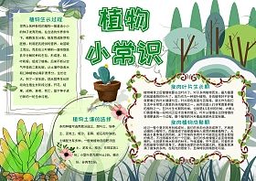 植物标本手抄报制作植物标本小报电子报模板