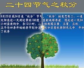 二年级秋分节气手抄报 24节气手抄报