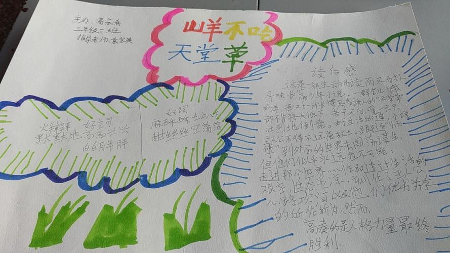 张店区兴学街小学三年级三班读书手抄报《山羊不吃天堂草》指导老师