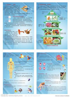 人体消化秘密手抄报 手抄报简单又好看