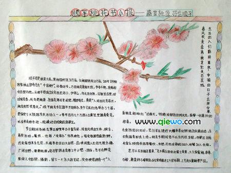 关于桃花的手抄报花的手抄报