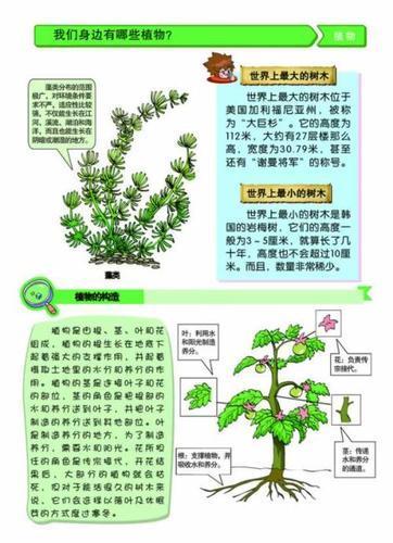 科尔沁河西实验初中七年4班第三期生物手抄报被子植物七年级四班庄