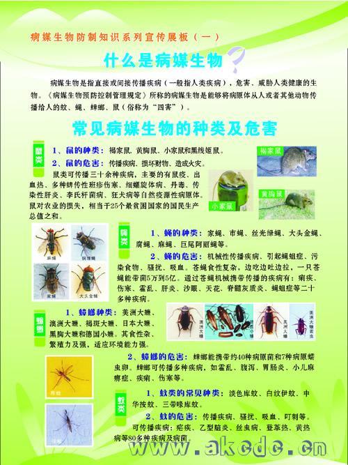 防制手抄报比赛作品这些是固堤小学的学生们制作的病媒生物防治手抄报