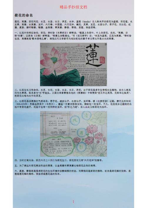 荷花手抄报图片大全.pdf 2页