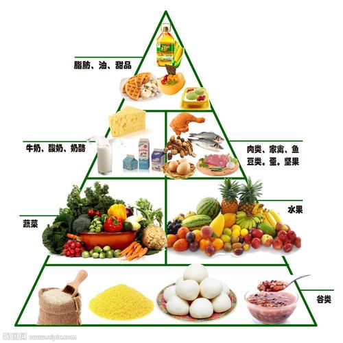 关于营养金字塔手抄报营养手抄报