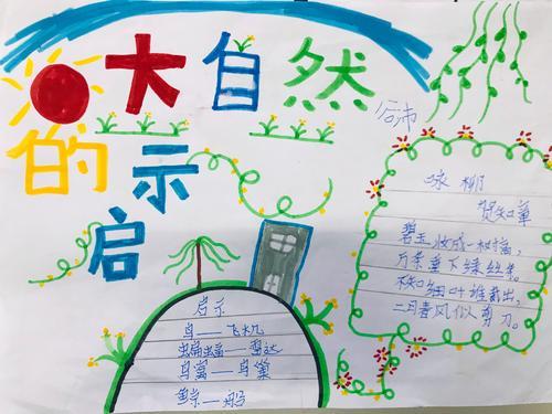 大自然的启示综合性学习手抄报 综合性学习手抄报