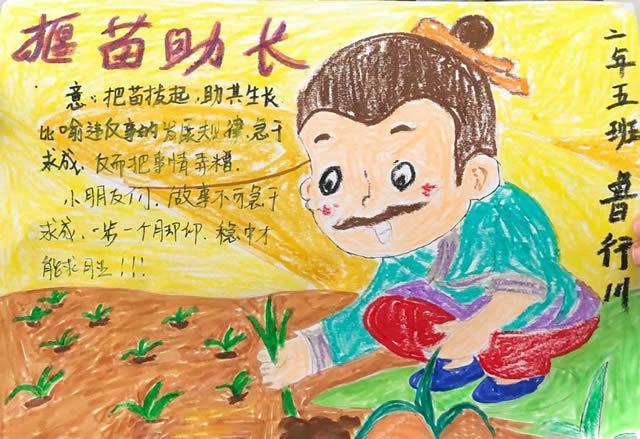 《揠苗助小学生中国古代寓言成语故事拔苗助长黑白线描涂色空白手抄报