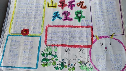 张店区兴学街小学三年级三班读书手抄报《山羊不吃天堂草》指导老师